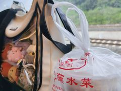-汝萍传统蘸水菜(春华路总店)