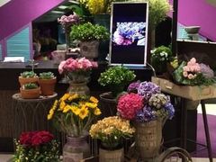 iphone_upload_pic-婷意花宇TheGracesFloral(北外滩店)