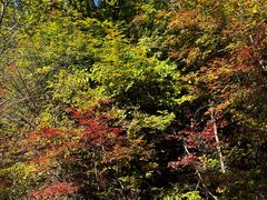 -五女峰国家森林公园