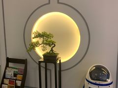 -席仁堂推拿按摩脊柱调理(世纪科贸大厦店)