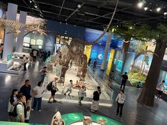 -国家自然博物馆