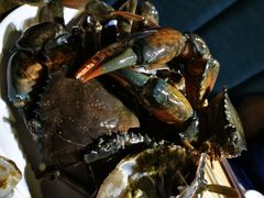 -九万士多港式海鲜粥底火锅(回龙观店)