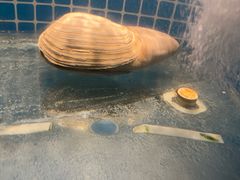 -和和小厨