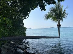 -巴拉湾海滩