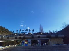 -大连森林动物园