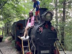 -五营红松林海景区