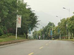 -美的鹭湖森林度假区