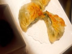 -南枝记