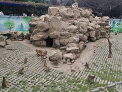 -西安秦岭野生动物园
