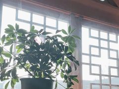 -福茂源横山铁锅羊肉(牡丹园店)