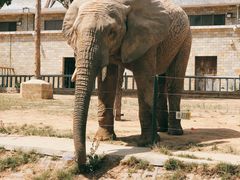 -石家庄市动物园