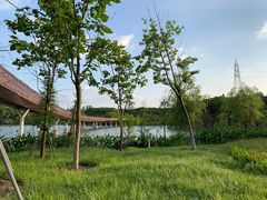 -昆山城市生态森林公园