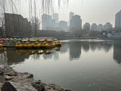 -团结湖公园