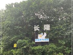-广州长隆飞鸟乐园