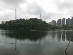 -重庆彩云湖湿地公园
