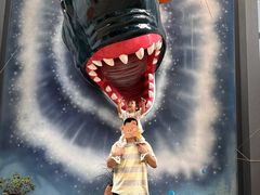 -海合安成都极地海洋公园