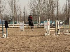 -北京群众马术培训基地