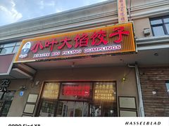 -小叶大馅饺子城