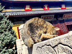 -西园戒幢律寺