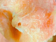 -老袁家蜜桃农场·阳山水蜜桃