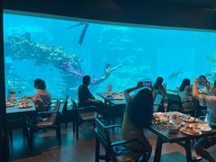 -涛·海底餐厅·美人鱼·自助餐·海底隧道(三亚海棠湾洲际度假酒店)