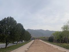 -秦始皇帝陵博物院-丽山园