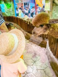 -宝燕乐园(闵行旗舰店)