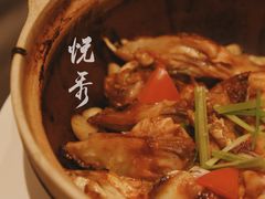 顺德砂锅鱼头-悦秀·高级粤菜