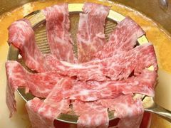 -喜聚薈·花膠雞海鮮火鍋(越秀店)