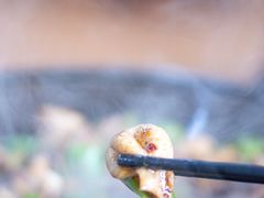特色干锅肥肠-张氏父子常德肠子馆(红星总店)