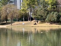-美兰湖景区