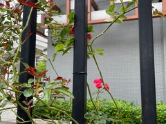 -无锡师范学校附属小学(学前街校区)