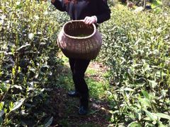 iphone_upload_pic-古韵餐厅(湖畔大学店)