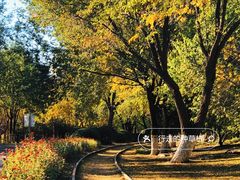 -永定河休闲森林公园