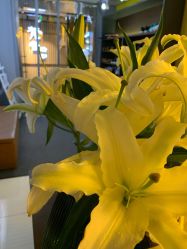 -FineYoga梵音瑜伽·普拉提