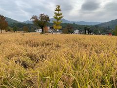 -塔川景区