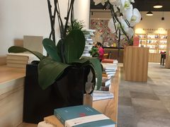 -五峰书院(南洋泾路店)