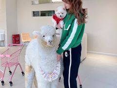 -怪兽屋·羊驼·猫咖·狗咖(俊华广场店)