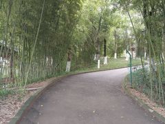 -大渡口区义渡公园