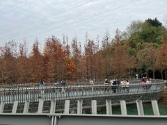 -福道