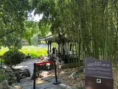 -包公祠