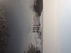 -北海金海湾红树林生态旅游区