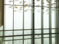 -视界美食自助餐厅·石家庄希尔顿酒店