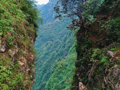 -峨眉山风景名胜区
