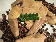 椒麻乳鸽-香然会·园林雅宴(陆家嘴店)