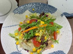 和风吞拿鱼沙拉-花见居酒屋(左岭店)