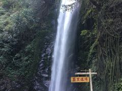 -莫里热带雨林景区