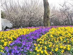 -苏州上方山国家森林公园