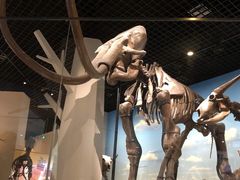 -国家自然博物馆