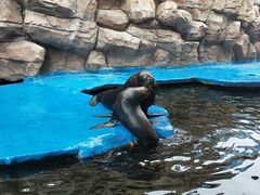 -华夏文旅海洋公园